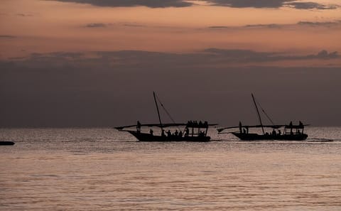 Zanzibar: Luxury Private Romantic Sunset and Dinner Cruise With Live Music