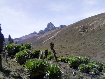 Full-Day Guided Hike in Mount Kenya National Park