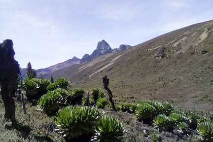 Mount Kenya National Park Full-Day Hike