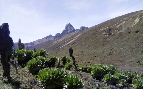 Full-Day Guided Hike in Mount Kenya National Park