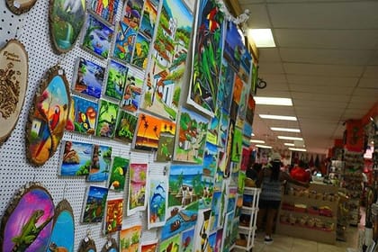 Let’s go to Big Bight Adventures, East Tour plus Private Transportation