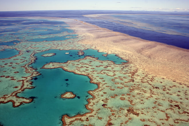 Sydney to Cairns Tour