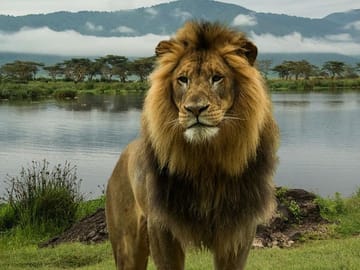 Lake Nakuru