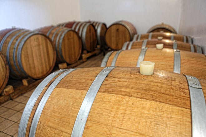 Wine tour of the Podere Della Torre winery