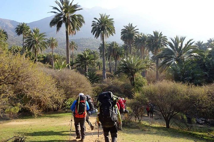 Private La Campana Hill Trekking Tour: Explore Nature from Santiago