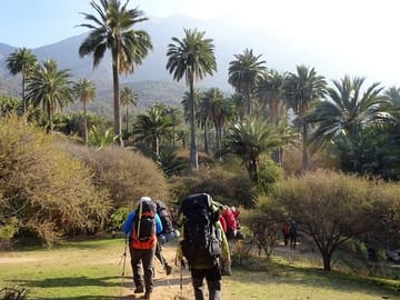 Private Full Day Trekking Tour at La Campana National Park