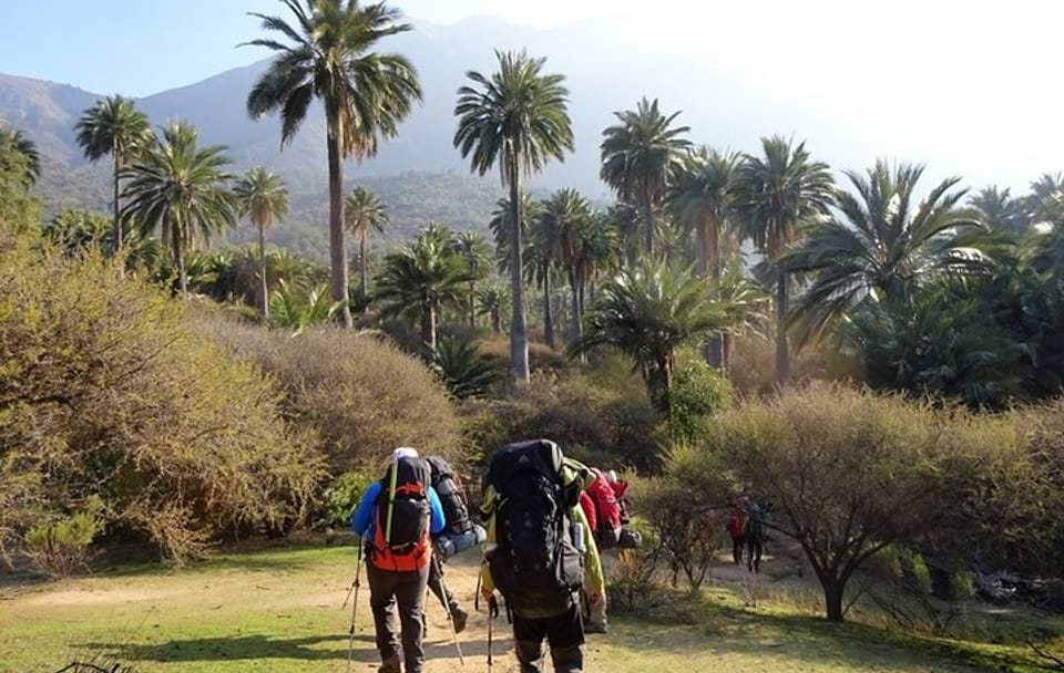 Private Full Day La Campana Hill Trekking Tour from Santiago