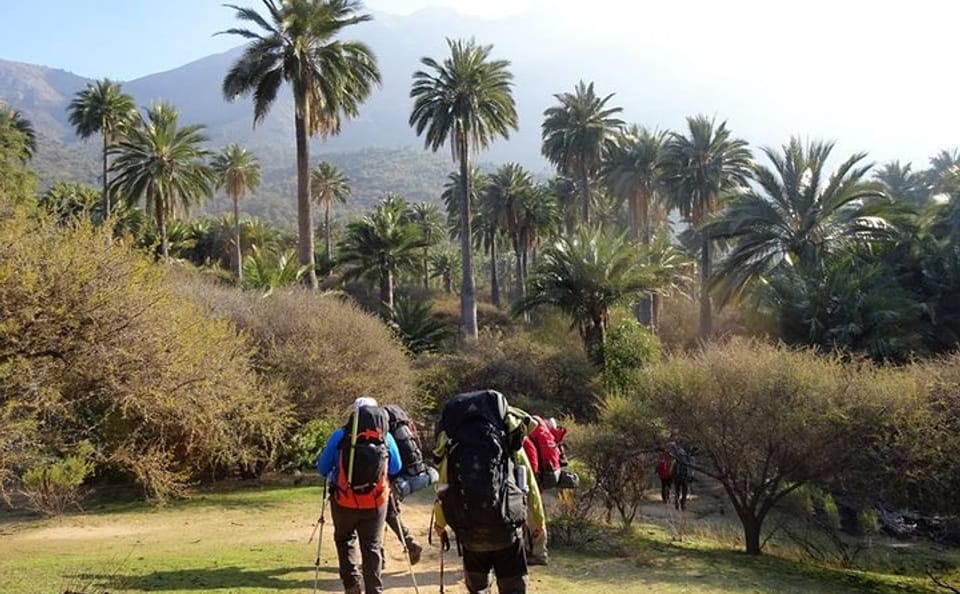 Private Full Day Trekking Tour at La Campana National Park