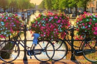 3-Day Private Amsterdam, Bruges, Antwerp and Brussels Tour 4