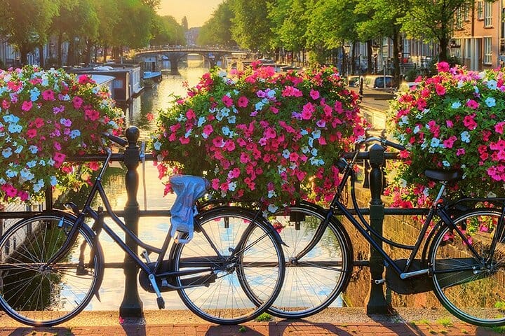 3-Day Private Amsterdam, Bruges, Antwerp and Brussels Tour 4
