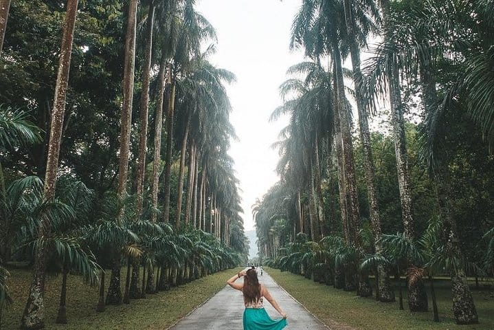 The Sacred Sri Lanka 4 Nights | 5 Days