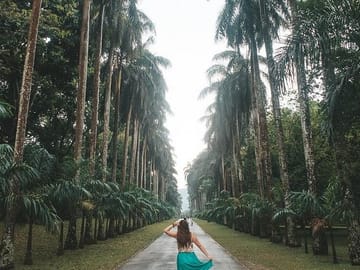 The Sacred Sri Lanka 4 Nights | 5 Days