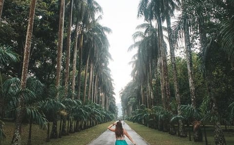 The Sacred Sri Lanka 4 Nights | 5 Days