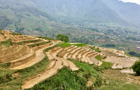 Two-Day Trekking Adventure in Bac Ha, Lào Cai