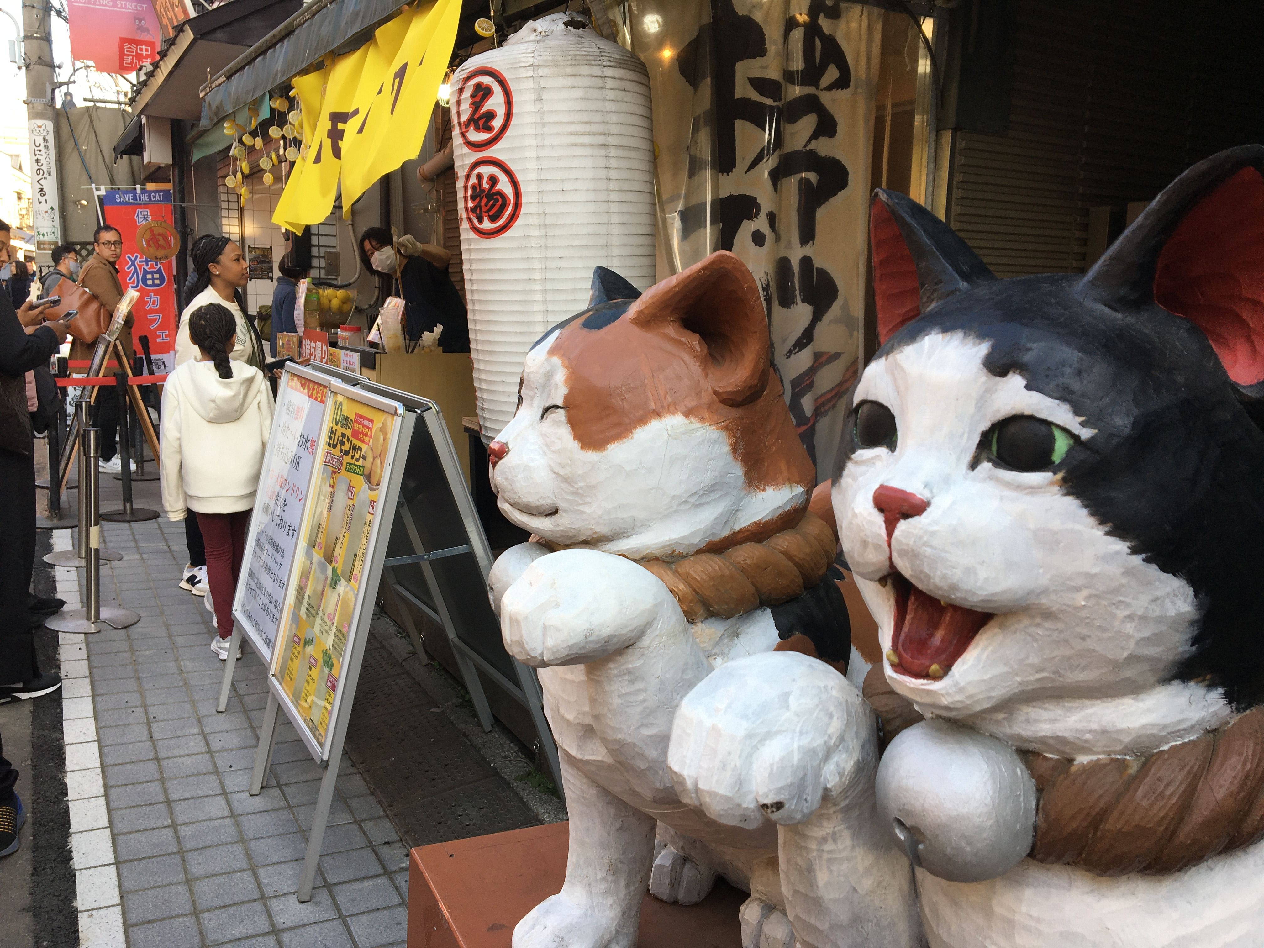 Home Visit in YANAKA with Homely and Local Experience and Tour