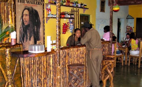 Private Bob Marley Tour of Nine Mile and Kingston from Ocho Rios