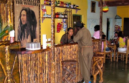 Private Bob Marley Tour of Nine Mile and Kingston from Ocho Rios