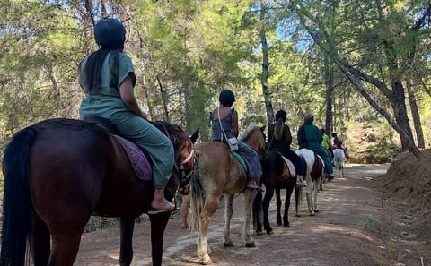 Horse Riding Adventure in Taurus Mountains, Alanya