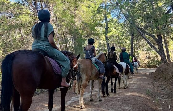 Horse Riding Tour at Taurus Mountains with Roundtrip Transfer