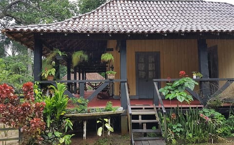 Rubber Museum Tour in Manaus: Explore Amazon's History