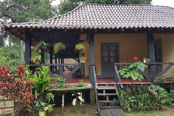 Rubber Museum Tour in Manaus: Explore Amazon's History