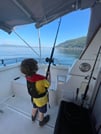 Cod & Chill: Arctic Fishing in Tromsø 3