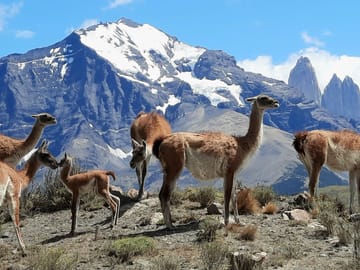 4-Day Atacama Desert Experience with Hotel, Tours & Meals