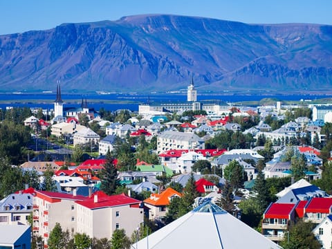 Private Reykjavik City Sightseeing, photo 3