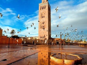 Private Half-Day Guided Tour of Marrakech's Highlights