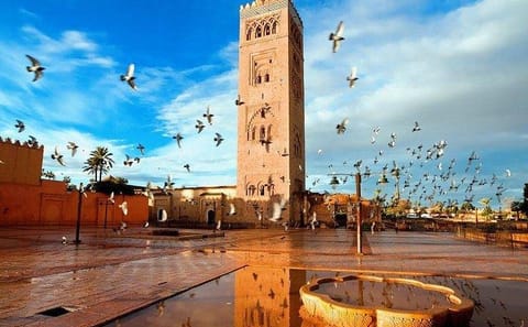 Private Half-Day Guided Tour of Marrakech's Highlights
