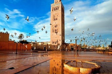Private Half-Day Guided Tour of Marrakech's Highlights