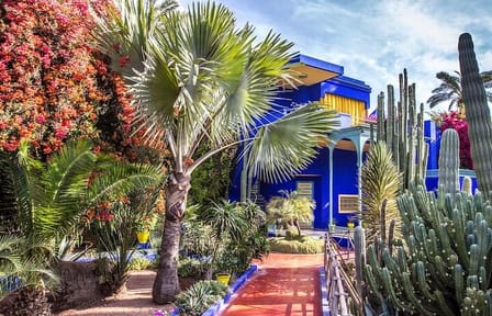 Majorelle Garden, St Laurent,Berber Museum Round-trip & Tickets