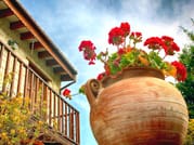 Paphos: Gourmet Cyprus Tour – Local Flavors & Wine 8