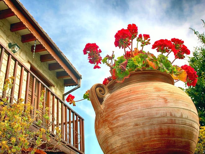 Paphos: Gourmet Cyprus Tour – Local Flavors & Wine 8