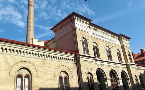 Gothenburg Highlights Tour: Landmarks and Historic Haga