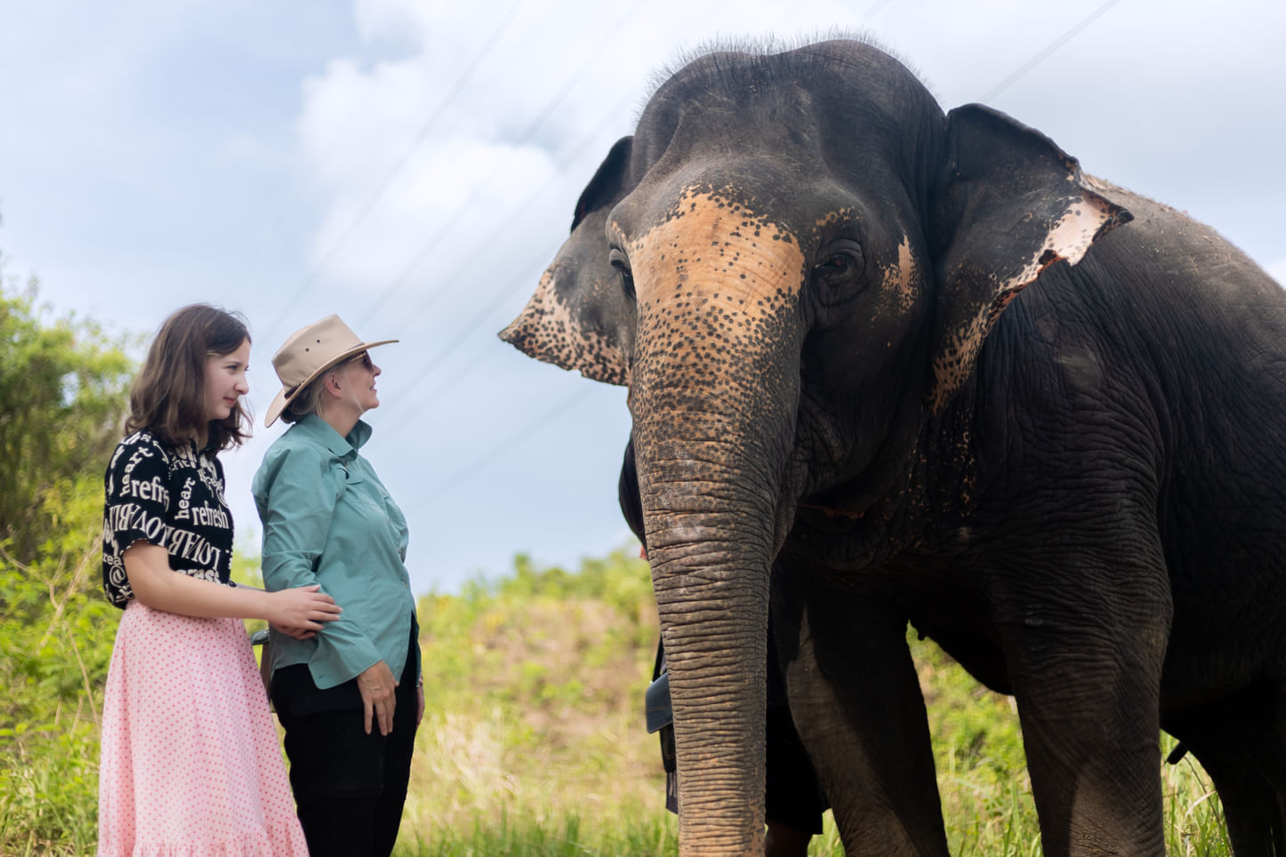 2-Hour Elephant Sanctuary Eco-Walk with Guided
