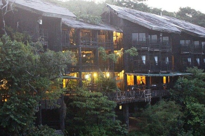 Shimba Hills National Reserve Day Tour with Sheldrick Falls