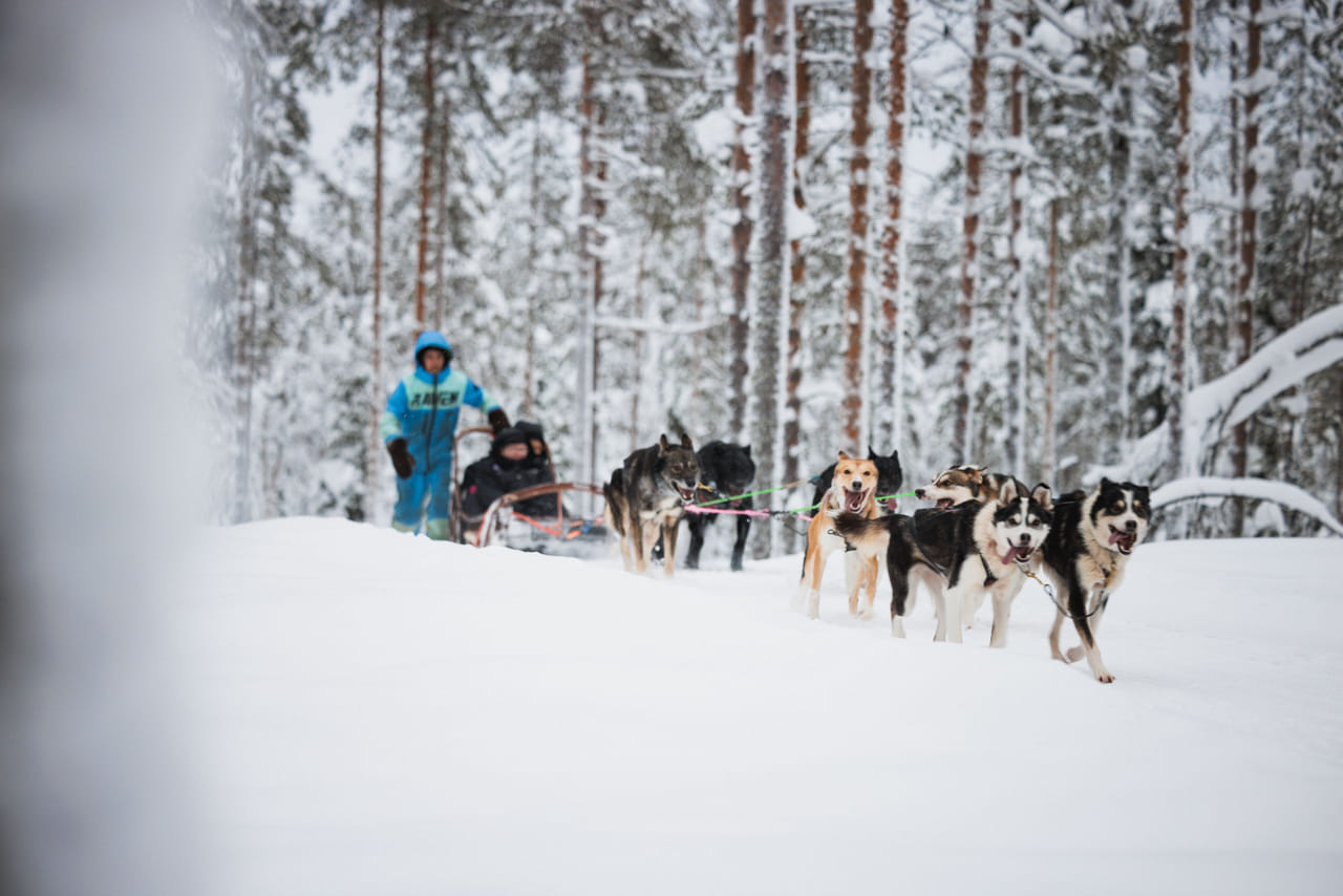 Arctic Circle Highlights with Snowmobiling 9
