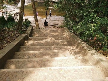 Khao Yai National Park Jungle Trekking Day Trip From Bangkok