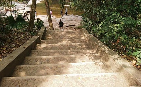 Khao Yai National Park Jungle Trekking Day Trip From Bangkok