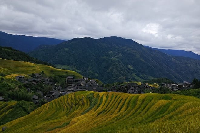 Longji Rice Terraces