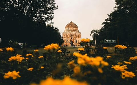Delhi: Old & New Delhi Full or Half Day Tour