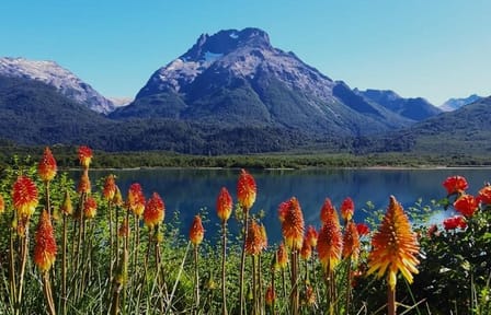 Discover Bariloche: 4 Days of Mountains and Lakes