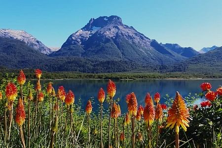 Explore Bariloche: Majestic Mountains, Crystal Lakes, and Enchanted Forests