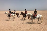 Hurghada : Horse Riding 2 Hours Sea & Desert with Transfer 2