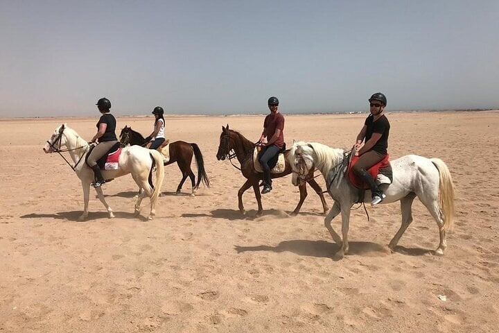 Hurghada : Horse Riding 2 Hours Sea & Desert with Transfer 2
