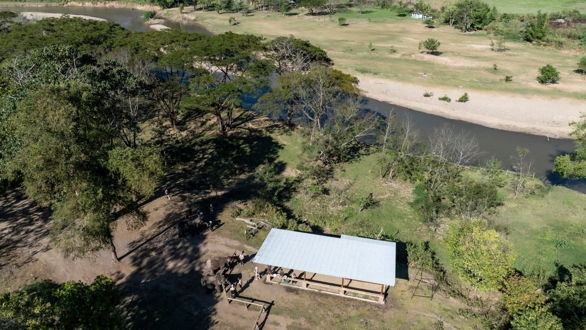 Chiang Mai Half-Day Adventure: River Tubing & Waterfall Slide