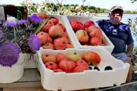 Lio Piccolo: Flamingos & Birdwatching Bike Tour in the Venetian Lagoon 4