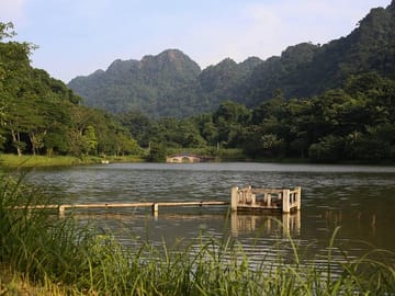 cuc phuong jungle