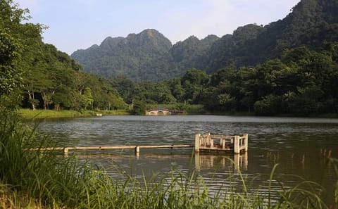 Full-Day Tour of Cuc Phuong National Park from Hanoi